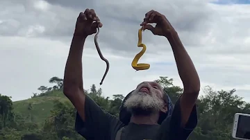 PNG snakeman