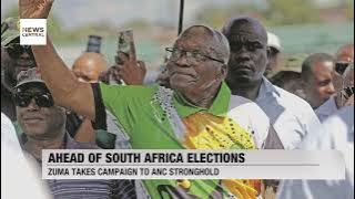 South Africa Election: Zuma's Campaign Gains Momentum in ANC Stronghold