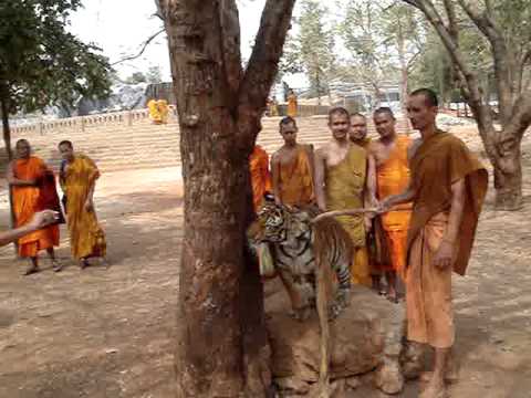 Video: 7 Redenen Om Twee Keer Na Te Denken Voordat Je Thailand 