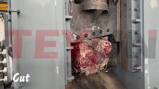 800 Ton Heavy-Duty Metal Shear Baler | Full Load Factory Test & Stable Performance