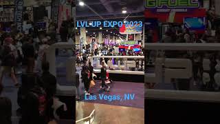 LVL UP EXPO 2023! #retrogaming #comics #anime #comiccon