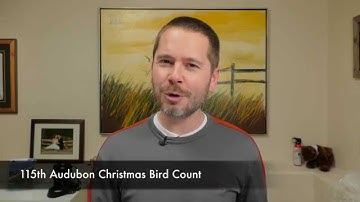 Christmas Bird Count 2014