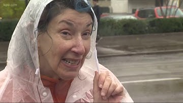 Wind blows tree limb on SE Portland home