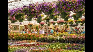 The Garden Center at Blooms & Berries