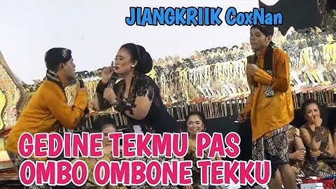 CAK PERCIL TERBARU VS PROBORINI EMOSI MERGO ORA DIGANJEL