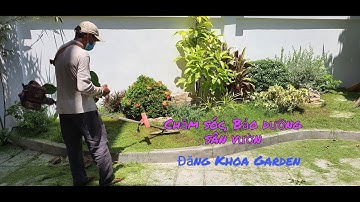 Dịch vụ trồng cây, cắt cỏ, chăm sóc bảo trì cây xanh sân vườn, tưới tự động sân vườn. 0935227999