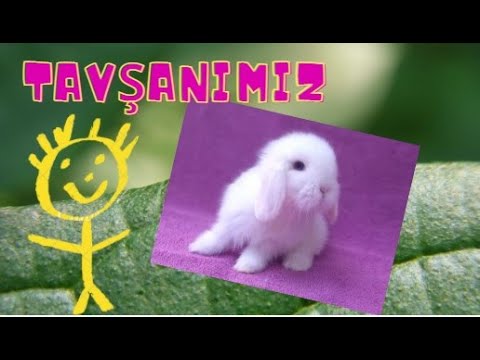 Tavşanımız Rapunzel Çok Tatlı العاب اطفال برجاء الاشتراك  Kids Games Please Subscribe