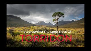 Photographing The Lone Trees of TORRIDON….