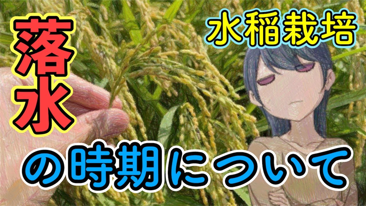 農文協DVD】イネの基本技術と生育診断1 イネの生育と土壌・肥料