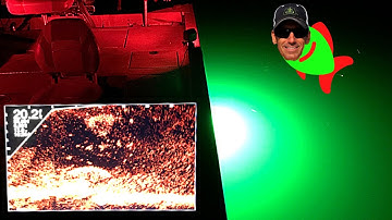 Night Time Crappie Fishing with Lights