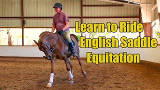 Learn How to Ride English Hunt Seat for Hunter Pleasure in Horse Shows