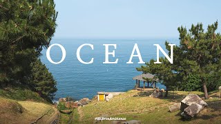 Ocean view relaxing, Ocean & Nature sounds. ASMR. Relaxing sounds for sleep, rest, study, and focus.