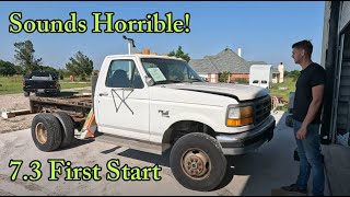 Will It Run? 1997 7.3 F350 Turbo Diesel Truck Project, Awesome Outcome!