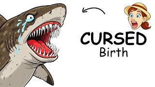 Details Why It Is Sucks to Be Sand Tiger Shark News