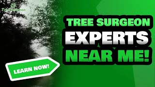 Tree Surgeon | Tree Surgeon Specialists Near Me | Tree Surgeon Experts