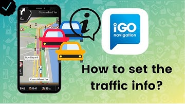 How to set the traffic info in IGO Navigation?