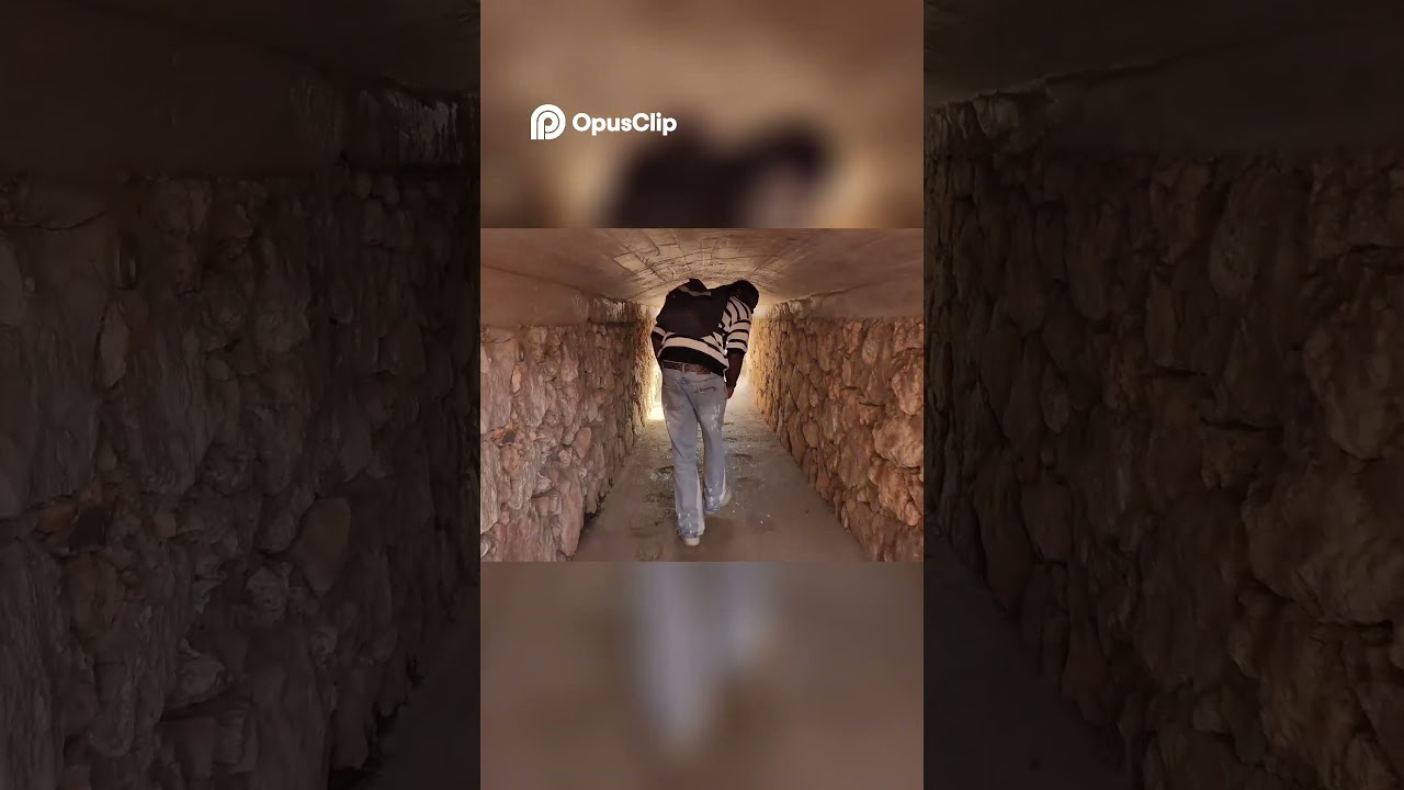 Встреча с крокодилом в секретном туннеле! 