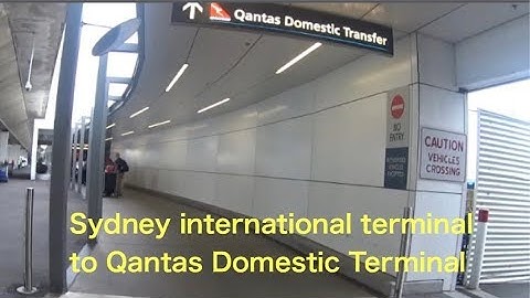 Sydney airport international terminal to Qantas Domestic Terminal by bus