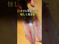 ​【閲覧注意】イワシをライトで照らしたらアニサキスが… #イワシ #刺身 #魚の捌き方
