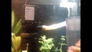 ISTA Co2 Reactor working with internal power filter