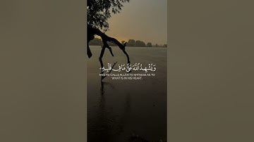 سورة البقرة الآيات ( 204 - 205 ) Surah Al-Baqarah, verses (204-205)