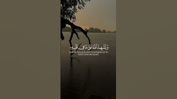 سورة البقرة الآيات ( 204 - 205 ) Surah Al-Baqarah, verses (204-205)