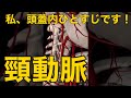 【頸動脈】私、頭蓋内ひとすじです!