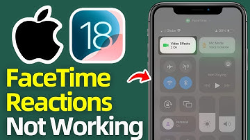 How To Fix FaceTime Reactions Gestures Not Working in iOS 18.2