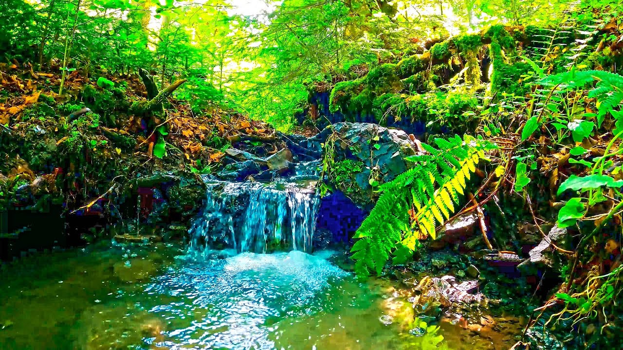 Forest river, soothing music and water sounds 4K UHD YouTube