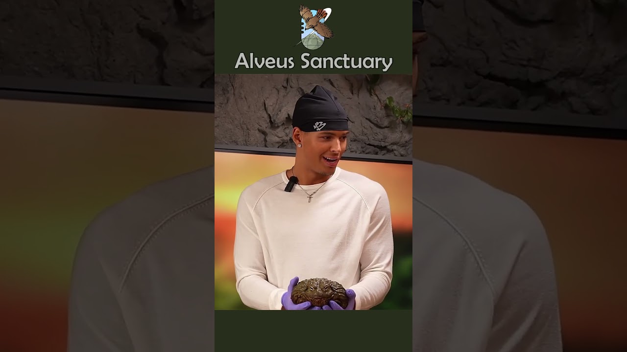 Georgie was NOT chopped!! 😔🥀 #alveussanctuary #marlon #mayahiga #bullfrog