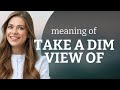 Understanding the Phrase "Take a Dim View of"