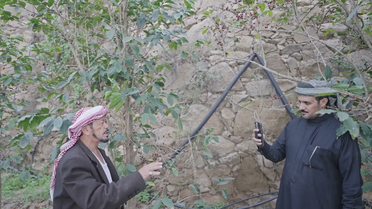 مزرعة نيد الرفص لصاحبها : يحيى بن مفرح صالح الحريصي