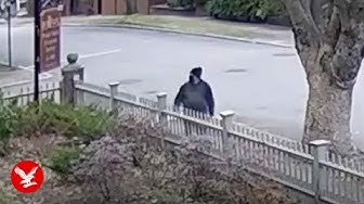 Thumbnail for Brown University suspect seen in new police footage as manhunt continues