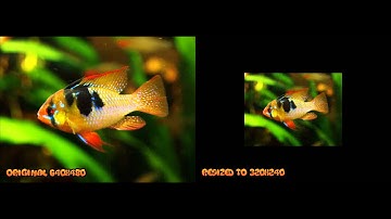 How to Resize a Video with FFMPEG