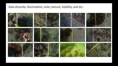 CoralVOS: Dataset and Benchmark for Coral Video Segmentation