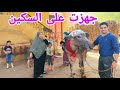 حمينا الجموسه ولبسنها الطرحه وجهزنها للدبح