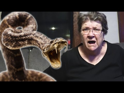 snake-prank-on-grandma!