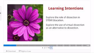 H5P EXAMPLE