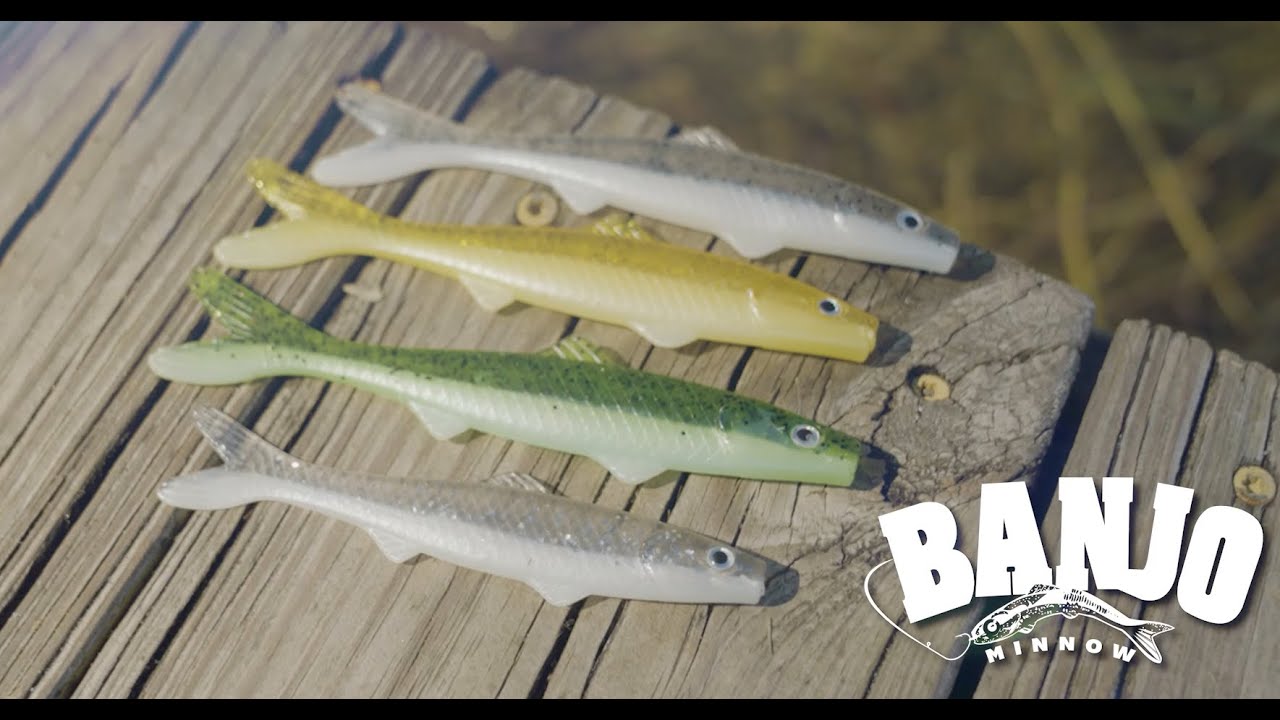 Why the Banjo Minnow is Every Angler's Must-Have 