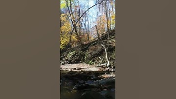 Let’s take a walk through memory. See the full video on my page. #nostalgia #nostalgic #shorts