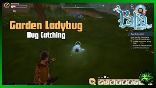 Palia Garden Ladybug (Bug Catching)