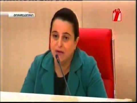 მანანა კობახიძე  'საკონსტუტიციო განხილვების ჩაშლა ჩვენს ინტერესში არ შედის'