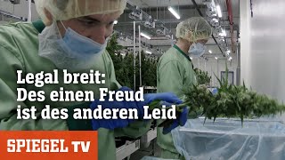 Фото Kontroverse Cannabis – Karl Lauterbachs Neuer Kiffer-Coup Spaltet Deutschland | SPIEGEL TV