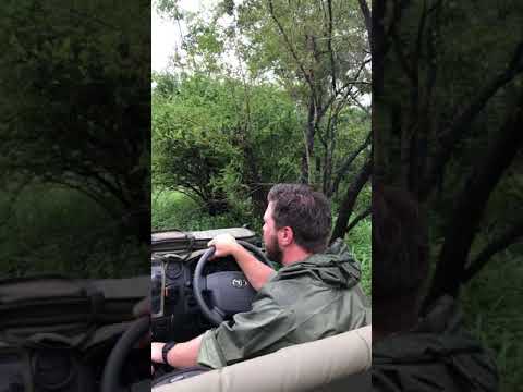 South African Safari Tour Dj Carey S Video Diaries Youtube