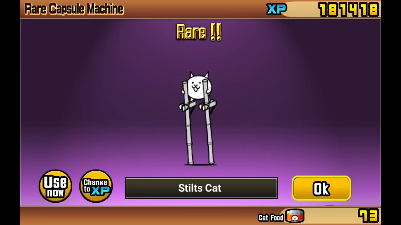 getting lucky not stilts cat