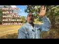 What's happening in our woods? Let's take a walk and find out!