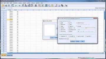 Conducting Brown-Forsythe and Welch Tests in SPSS