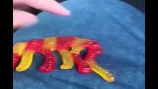 gummy elephant