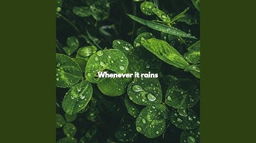 Elegant Moods for Forgetting Summer