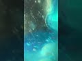 LOOK INSIDE THIS NEE DOH #needohs #viral #squishys #cool #satisfying #inside #nice #real #blue #ice 